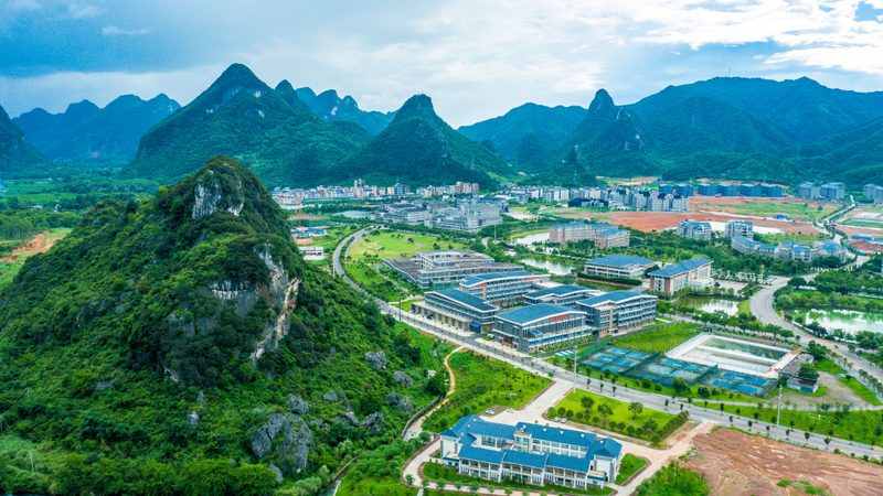 深圳电容批发市场：定制化服务揭秘
