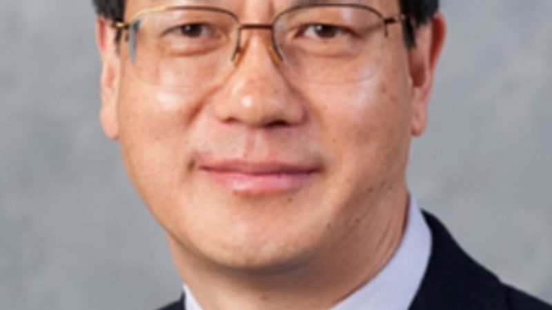 揭秘国内二极管厂家：如何挑选优质供应商**