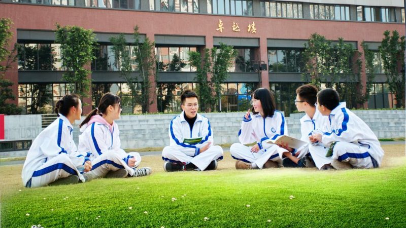 国产芯片加盟政策咨询：企业参与新机遇的关键要素**